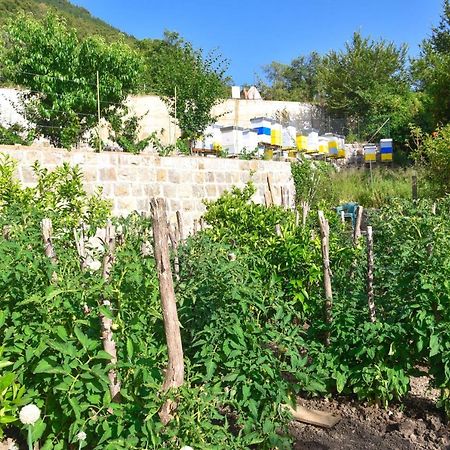 Verbalj Apartment With Swimming Pool Kotor Exterior photo