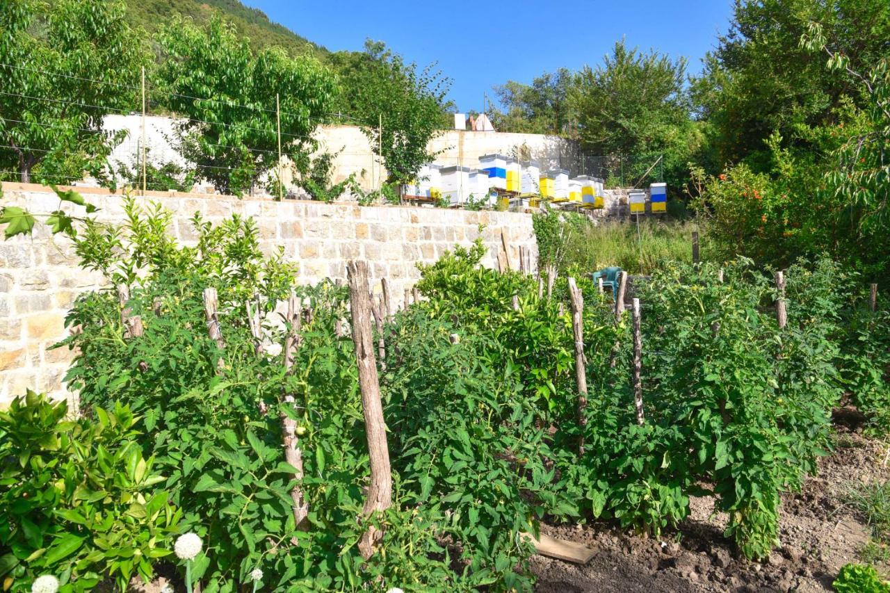 Verbalj Apartment With Swimming Pool Kotor Exterior photo